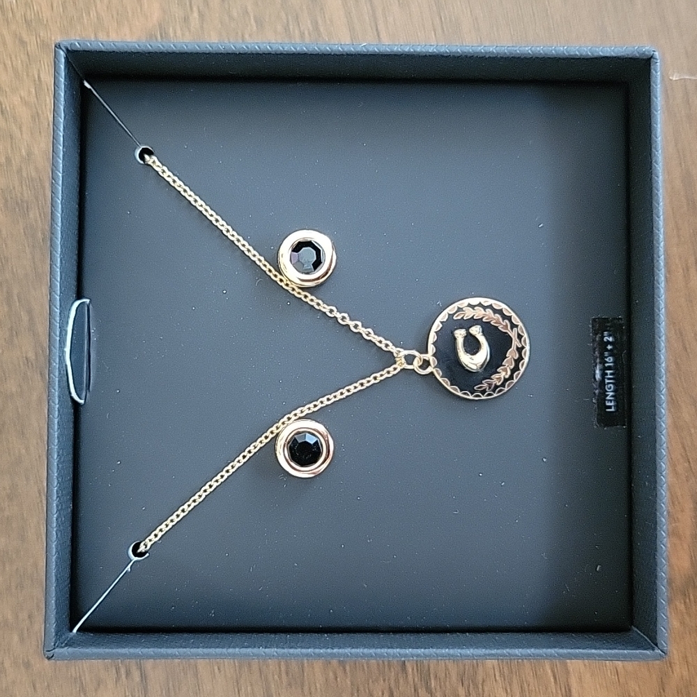 COACH NECKLACE AND EARRINGS SET